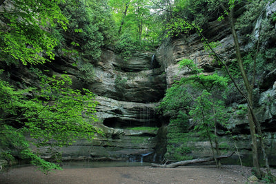 Illinois State Parks With and Without showers - The Full List