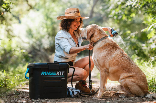 Portable Pet Washing Kits: Exploring Options