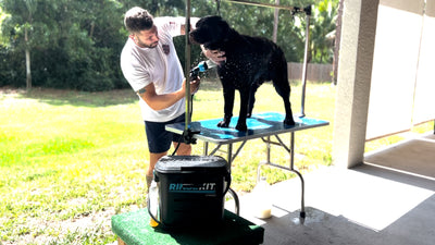 The Ultimate Guide to Portable Dog Wash Stations for Home