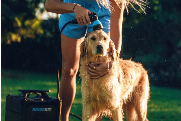 The 10 Best Portable Dog Showers of 2026, Ranked & Compared