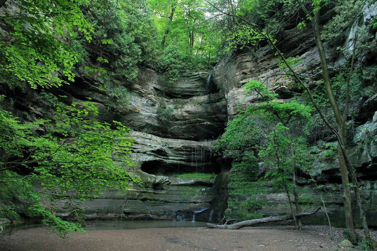 Illinois State Parks With and Without showers - The Full List