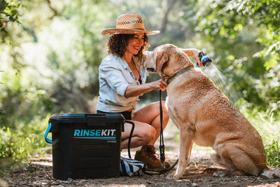 Portable Pet Washing Kits: Exploring Options