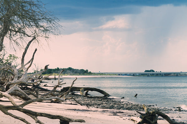 Florida State Parks with and without Showers - The Full List