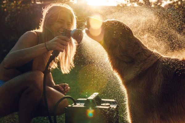 How to Wash a Dog Outside: Muddy Paws, Saltwater, and Post-Hike Grime